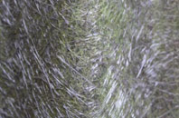 Cloford Common fibreglass roof work